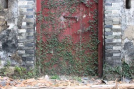 An old door with plants growing over it.