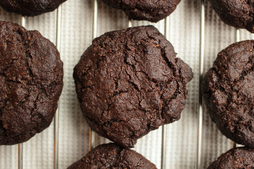 Chocolate and Coconut Crinkle Cookies